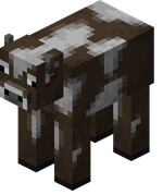 Temperate_Cow