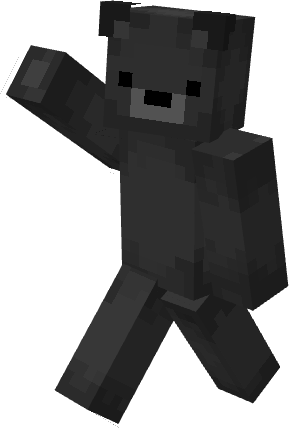 skin de tokwyoo
